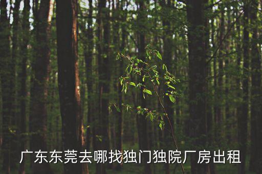 廣東東莞去哪找獨門獨院廠房出租