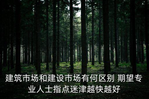 建筑市場和建設市場有何區(qū)別 期望專業(yè)人士指點迷津越快越好