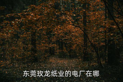 東莞玫龍紙業的電廠在哪