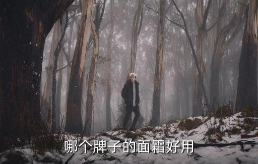 哪個牌子的面霜好用