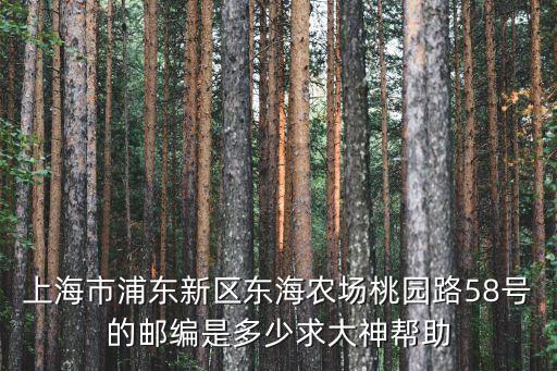 上海市桃園路郵編，佘山鎮桃源路翠谷小區郵編是多少