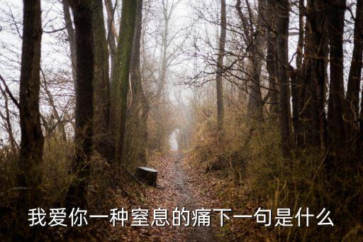 我愛你一種窒息的痛下一句是什么