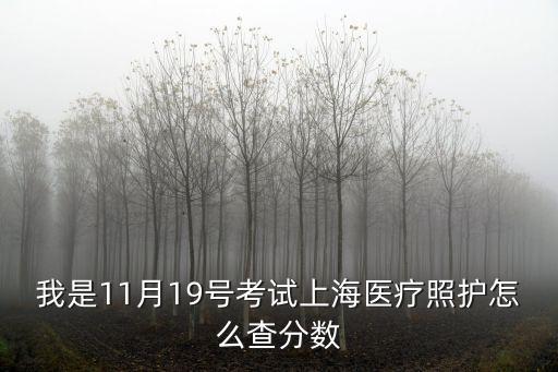 上海市醫(yī)藥職工大學(xué)成績(jī)查詢，上海市醫(yī)藥學(xué)校 查分的網(wǎng)址是什么呀