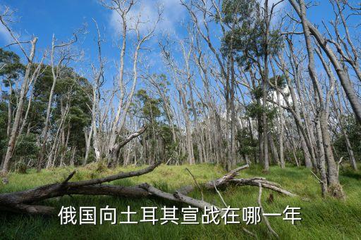 俄國向土耳其宣戰(zhàn)在哪一年