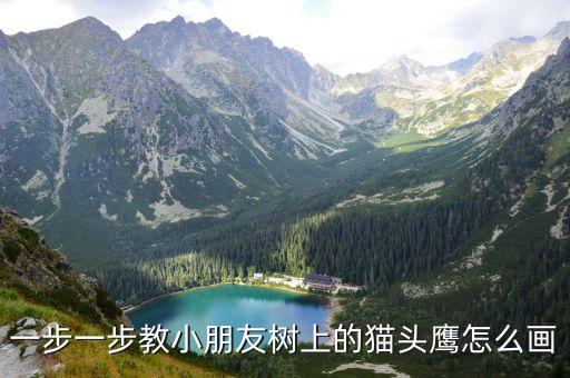 貓頭鷹兒童畫，貓頭鷹的資料和圖片