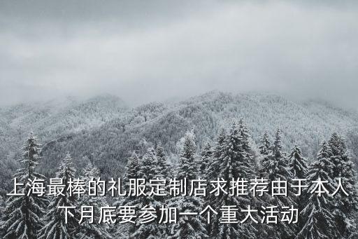 上海最棒的禮服定制店求推薦由于本人下月底要參加一個重大活動