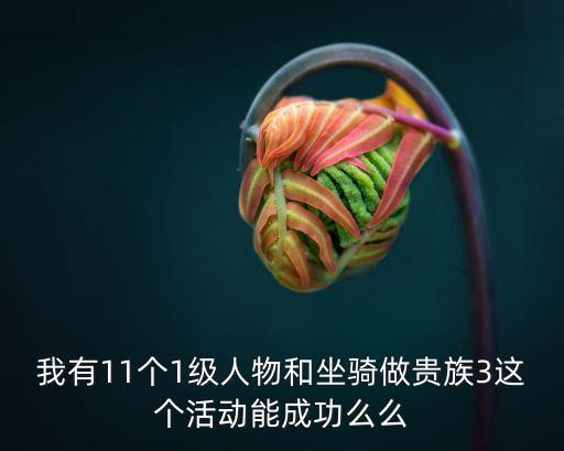 我有11個1級人物和坐騎做貴族3這個活動能成功么么
