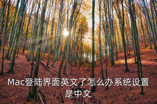 Mac登陸界面英文了怎么辦系統設置是中文