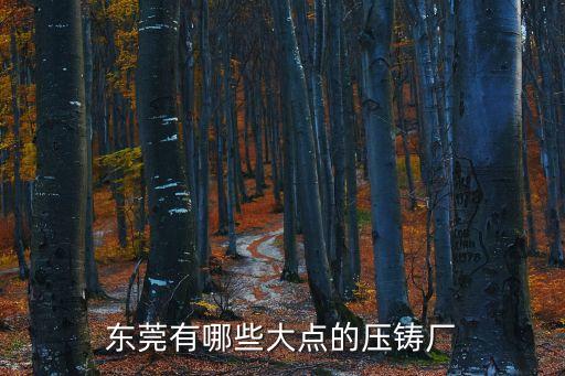 東莞有哪些大點的壓鑄廠