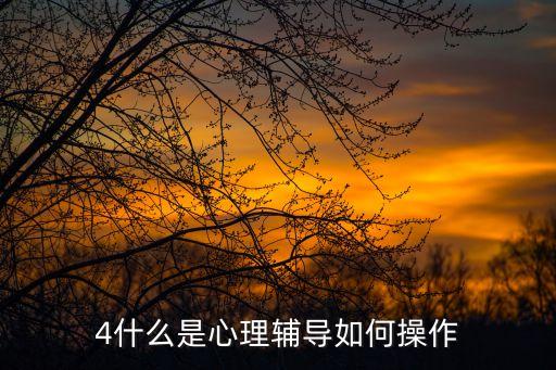 4什么是心理輔導如何操作