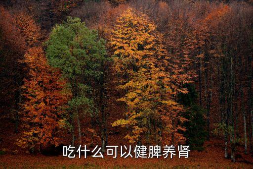 吃什么健脾，吃什么食物對脾好