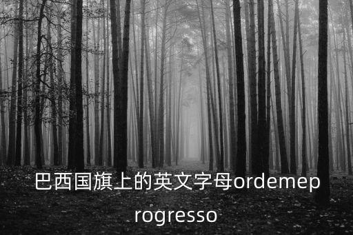 巴西國旗上的英文字母ordemeprogresso