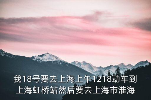 我18號(hào)要去上海上午1218動(dòng)車(chē)到上海虹橋站然后要去上海市淮海