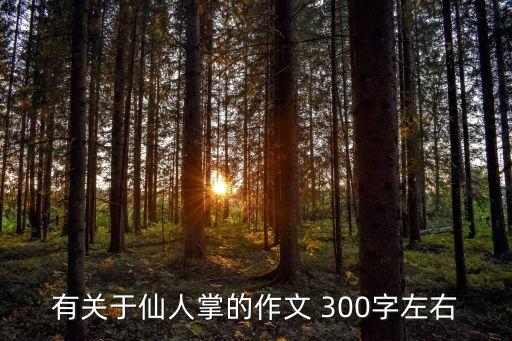 有關于仙人掌的作文 300字左右
