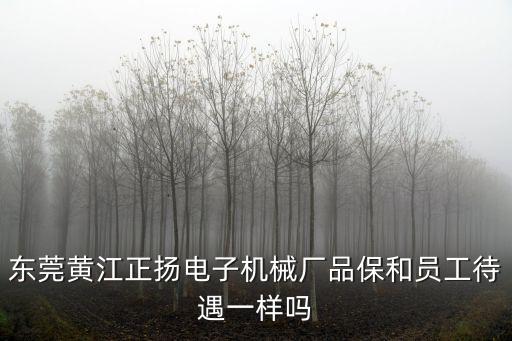 東莞正揚電子坑嗎，東莞正揚電子廠是做什么的