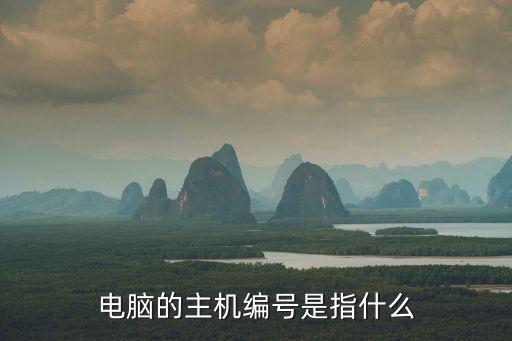 電腦的主機(jī)編號(hào)是指什么