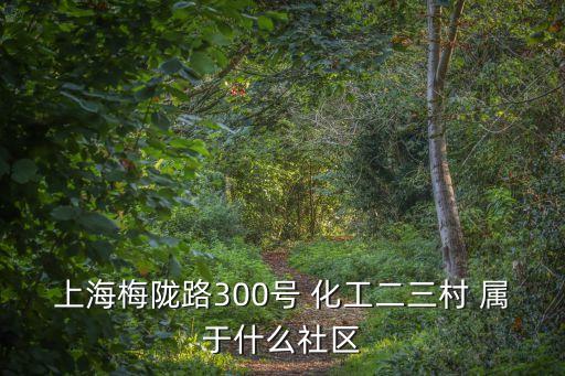 上海梅隴路300號 化工二三村 屬于什么社區(qū)