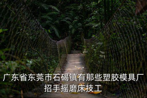 廣東省東莞市石碣鎮有那些塑膠模具廠招手搖磨床技工