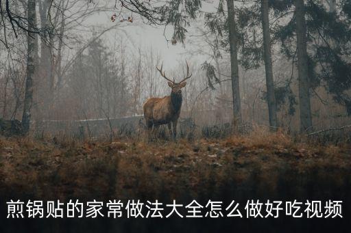 煎鍋貼，煎鍋貼的家常做法大全怎么做好吃視頻