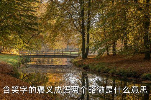 稍微的意思，漢書中稍表示稍微意思的例句