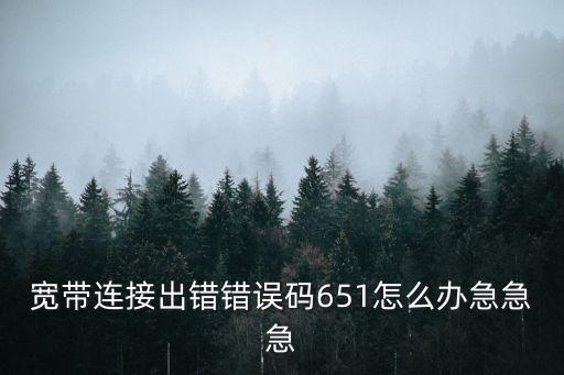 寬帶連接出錯錯誤碼651怎么辦急急急