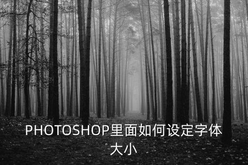 PHOTOSHOP里面如何設定字體大小