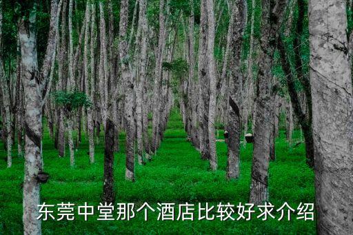 東莞中堂那個酒店比較好求介紹