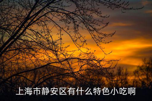 上海市靜安區有什么特色小吃啊