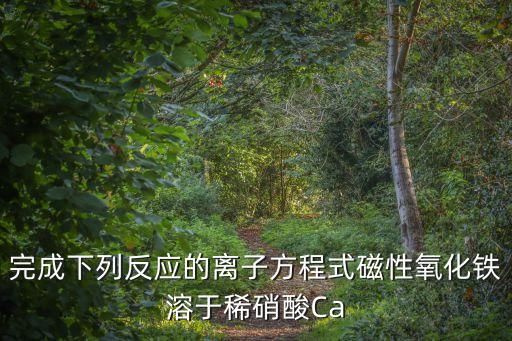反應的，書寫下列反應的文字表達式并注明反應類型1木炭在空氣里的燃