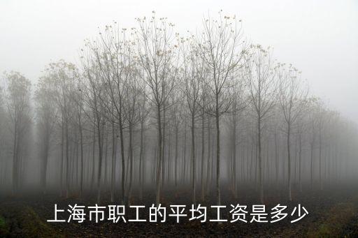 上海市職工的平均工資是多少