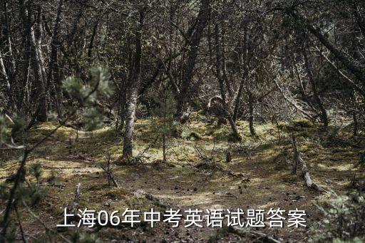 上海06年中考英語試題答案