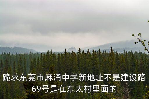 東莞麻涌私立中學，跪求東莞市麻涌中學新地址不是建設路69號是在東太村里面的