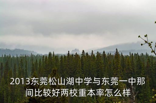 2013東莞松山湖中學與東莞一中那間比較好兩校重本率怎么樣