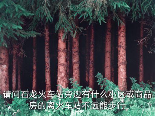 請問石龍火車站旁邊有什么小區或商品房的離火車站不遠能步行