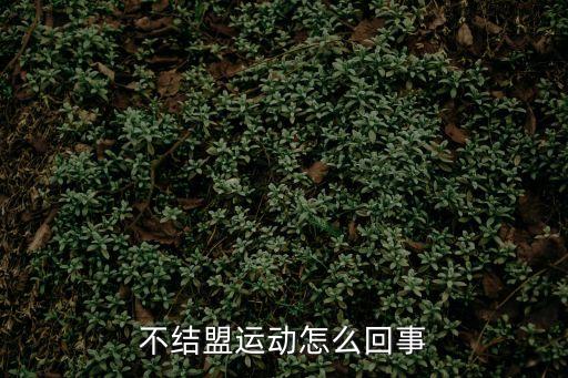 不結(jié)盟運動怎么回事