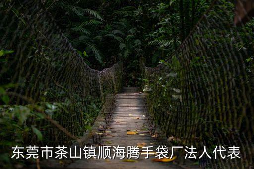 東莞琦政手袋廠法人，伶咿是否有皮具公司注冊