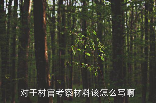 對于村官考察材料該怎么寫啊