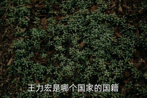 王力宏是哪個國家的國籍