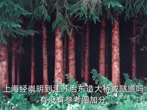上海經崇明到江蘇啟東造大橋或隧道嗎有沒有參考圖加分