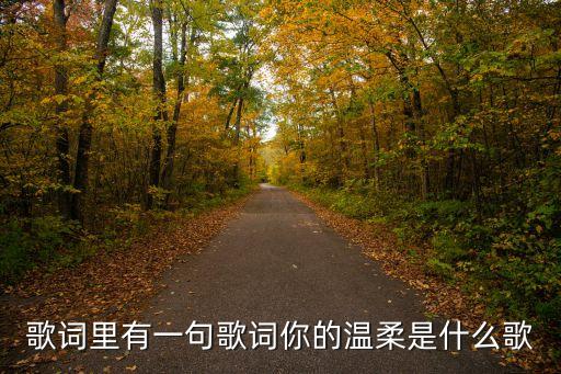 歌詞里有一句歌詞你的溫柔是什么歌