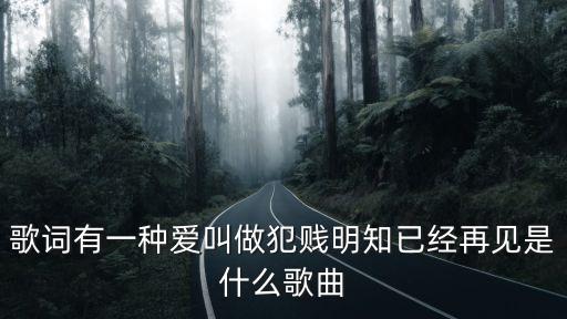 歌詞有一種愛叫做犯賤明知已經再見是什么歌曲