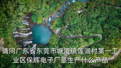 請問廣東省東莞市塘廈鎮蓮湖村第一工業區保輝電子廠是生產什么產品