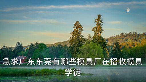 急求廣東東莞有哪些模具廠在招收模具學(xué)徒