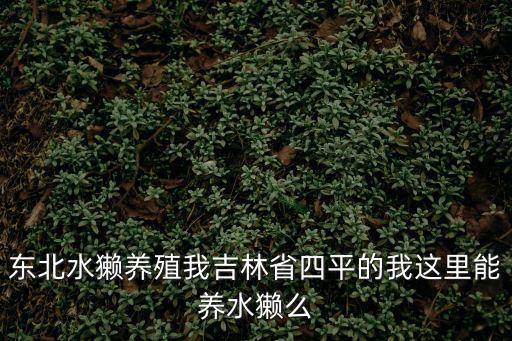 東北水獺養殖我吉林省四平的我這里能養水獺么