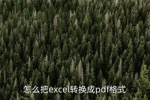 excel轉pdf，EXCEL 格式如何轉換成PDF格式
