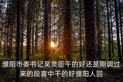 吳靈臣，濮陽吳靈臣調走了