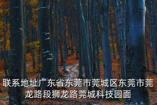 東莞實新事場，東莞人才市場的地址