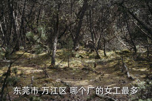 東莞市 萬江區 哪個廠的女工最多