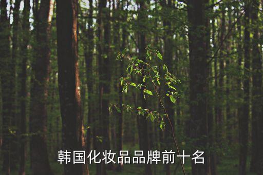 韓國化妝品品牌前十名