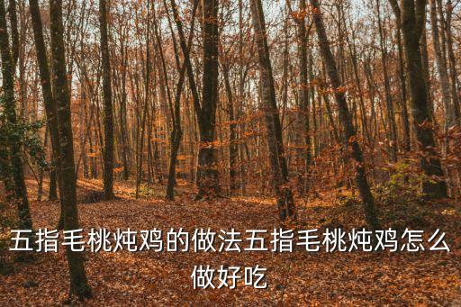 五指毛桃燉雞的做法五指毛桃燉雞怎么做好吃